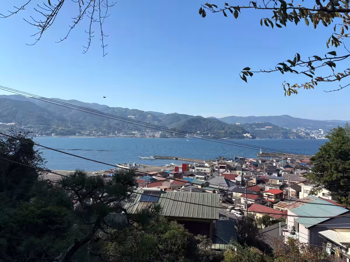 画像8