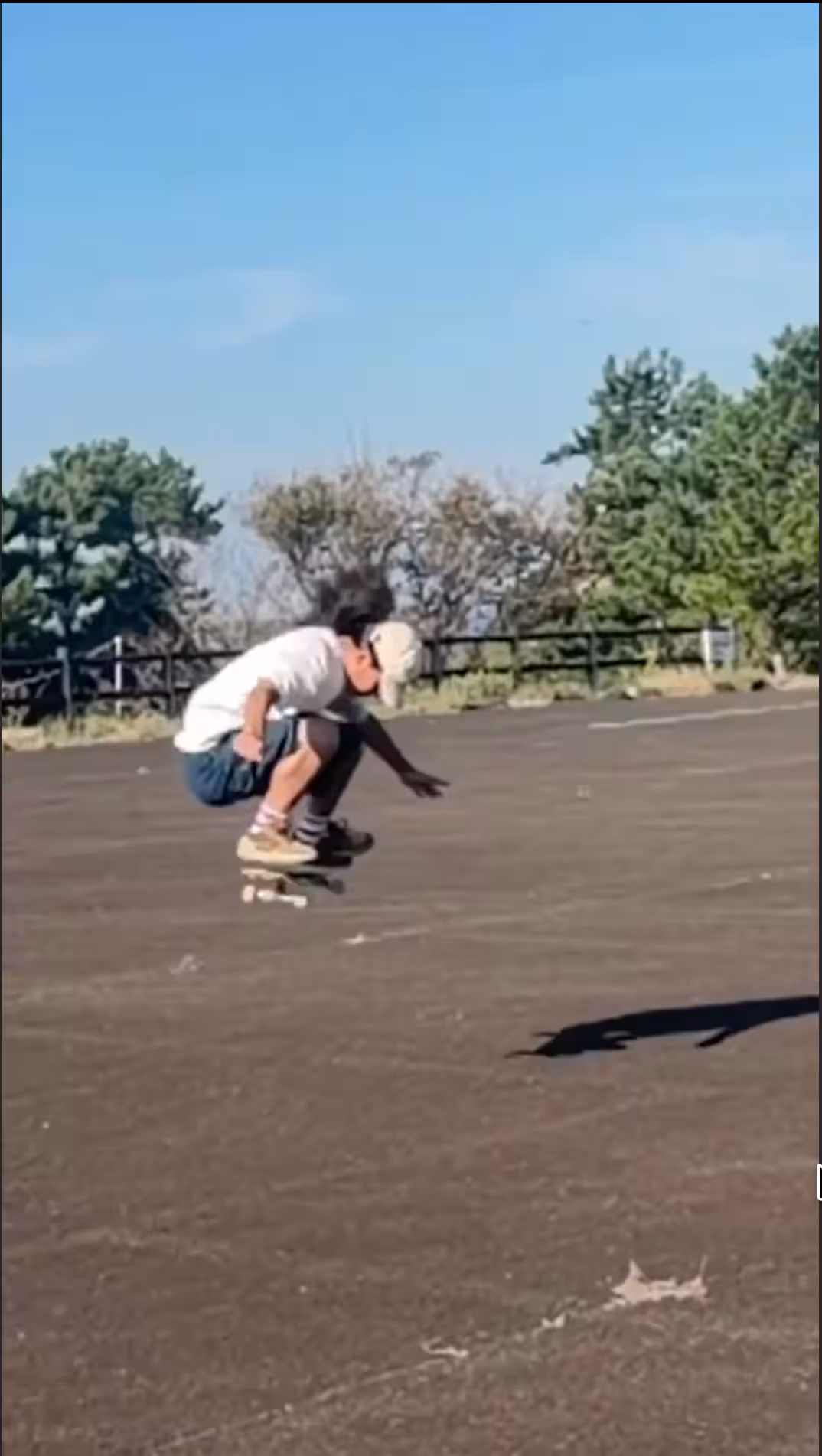 画像9