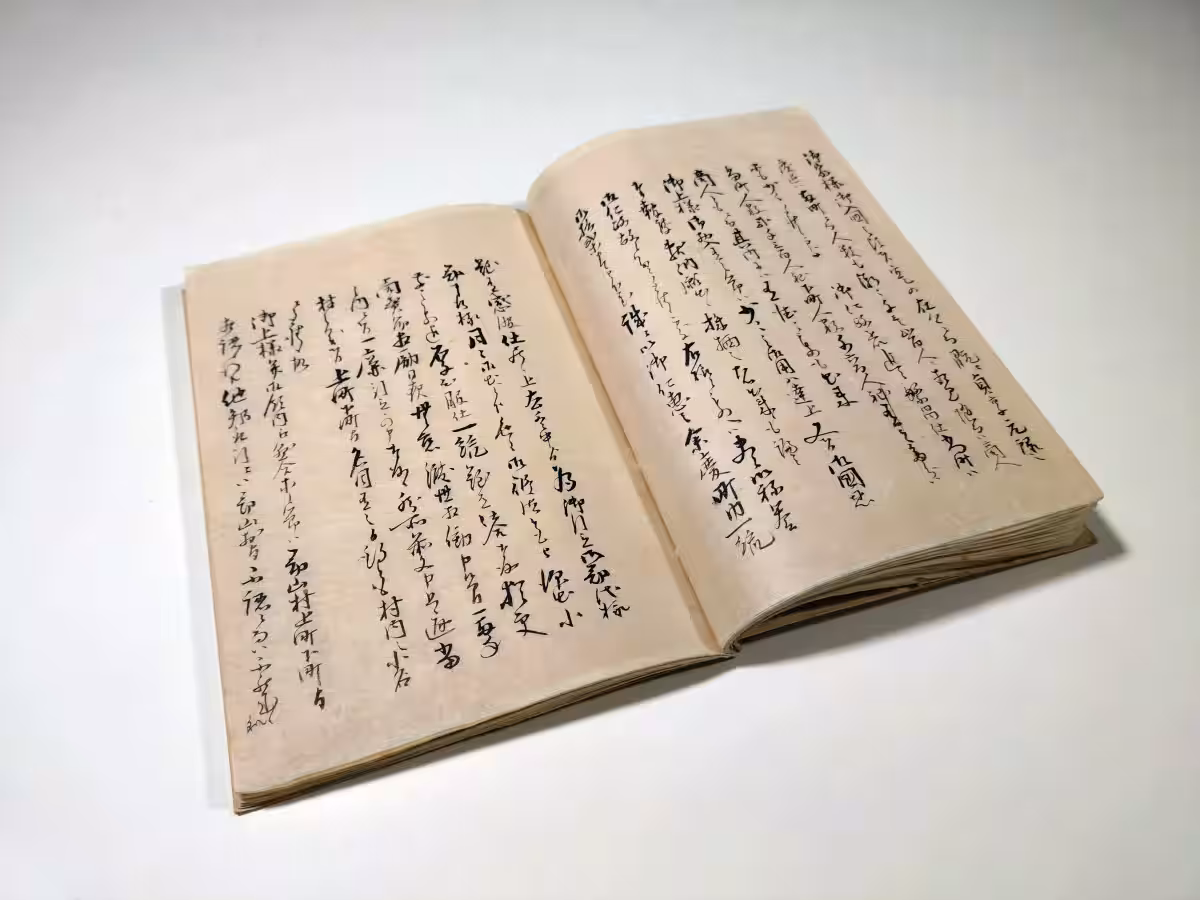 画像4