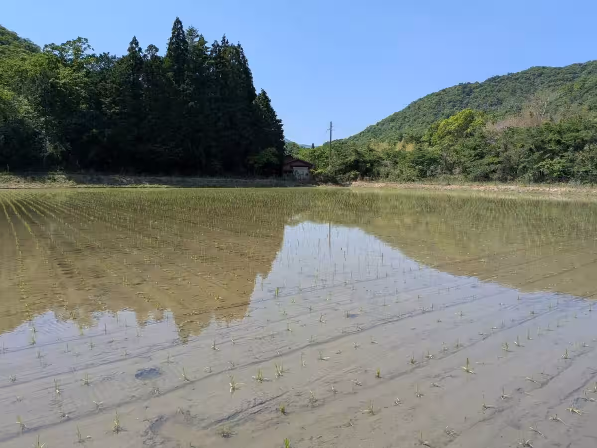 画像10