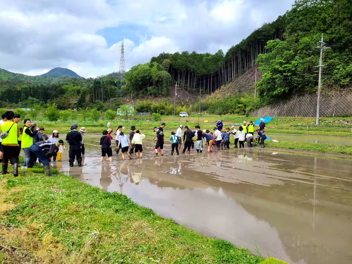 画像18