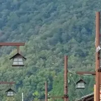 マークスライフの挑戦
