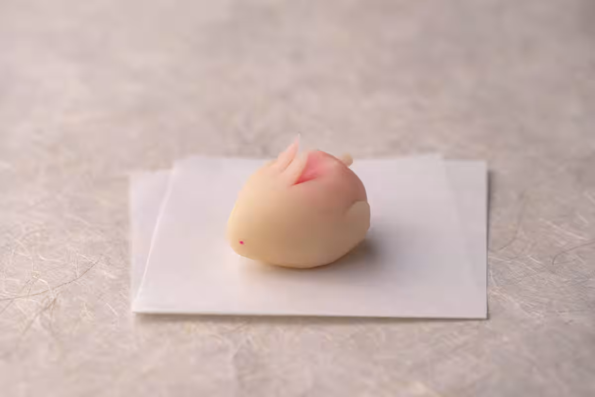 画像5