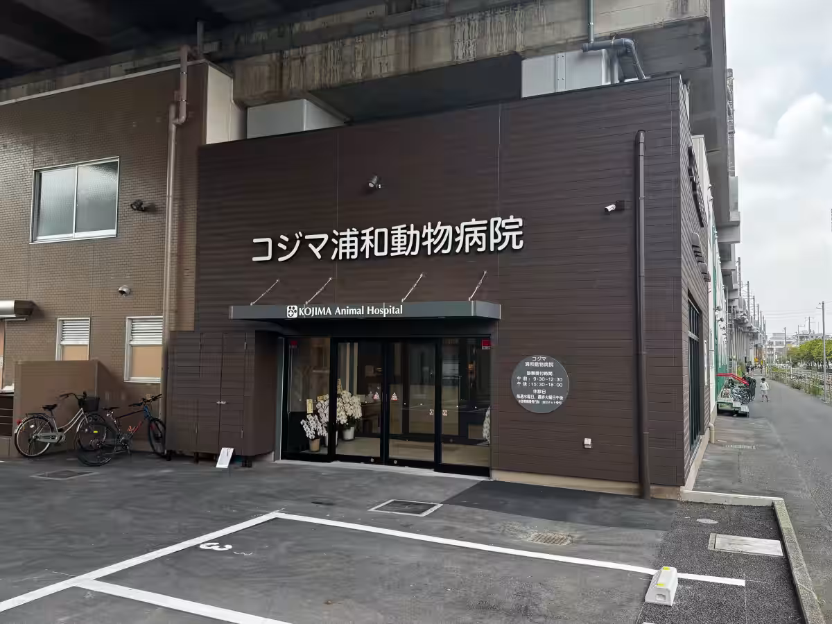 画像12