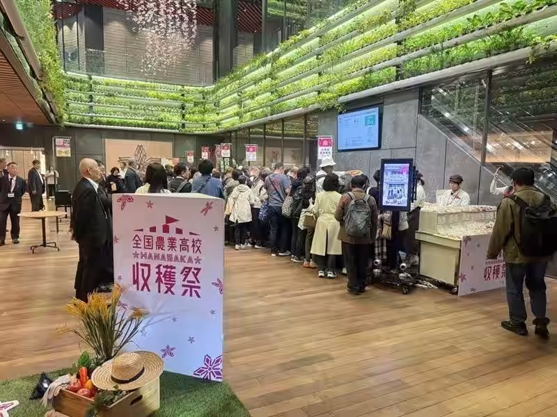 画像11