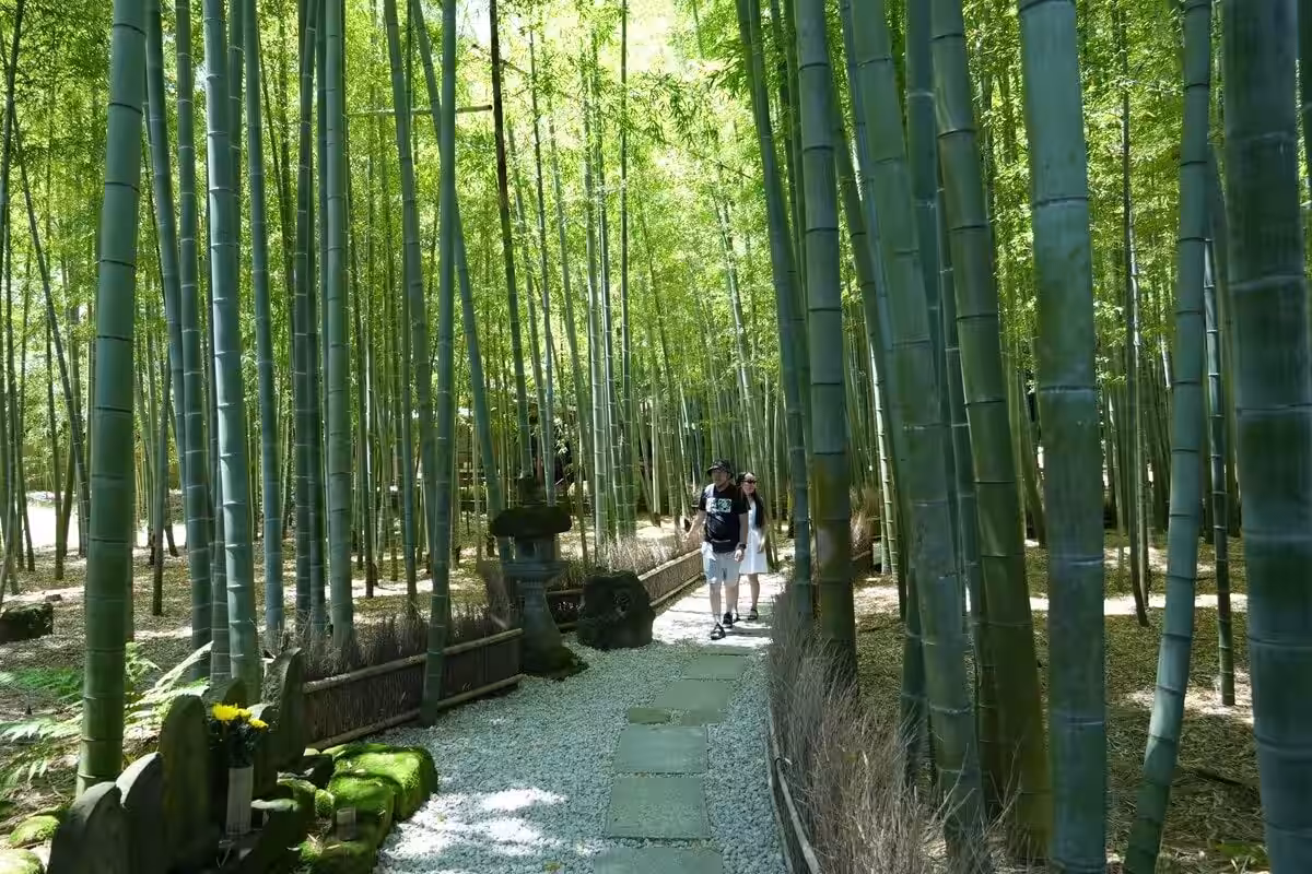 画像7