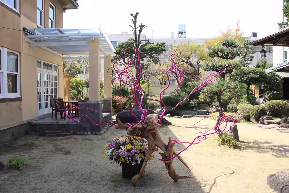 画像8