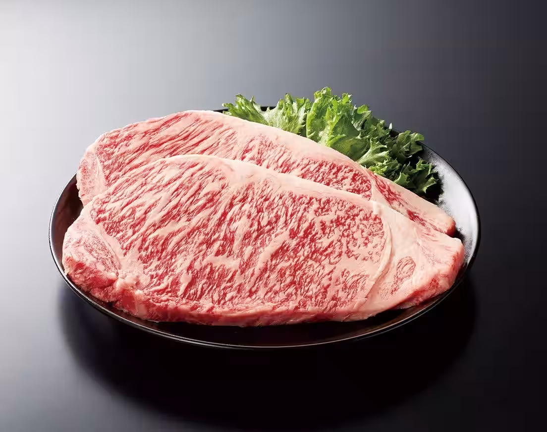 画像15