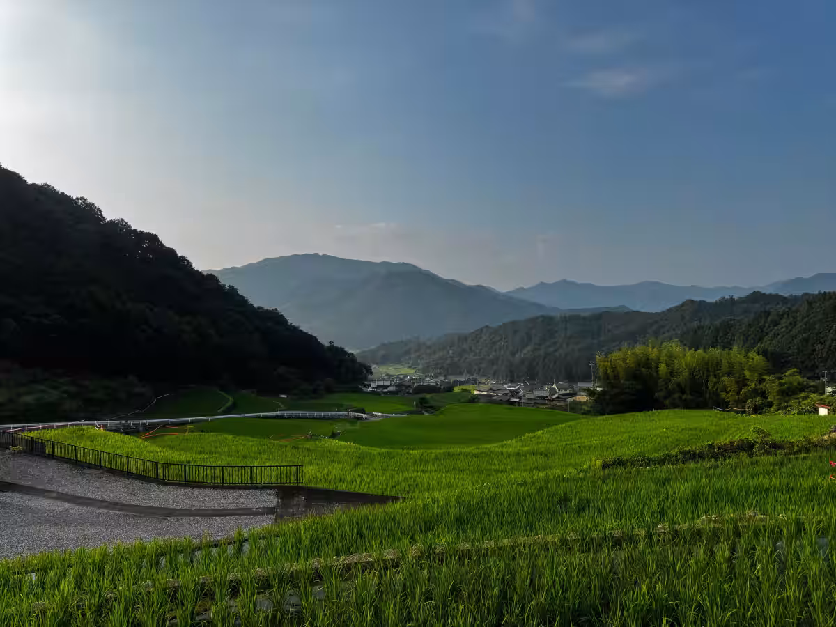 画像8