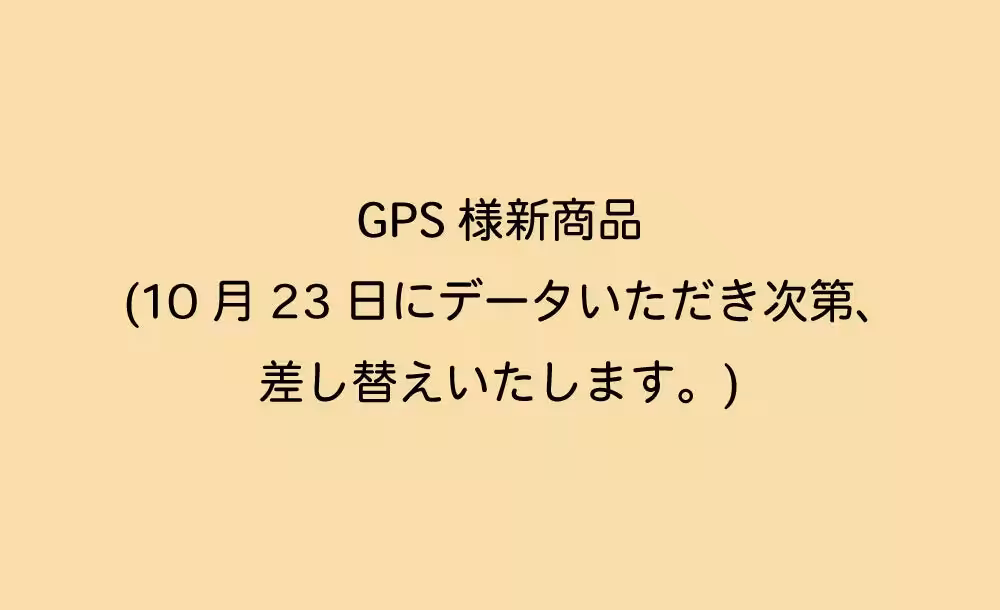 画像11