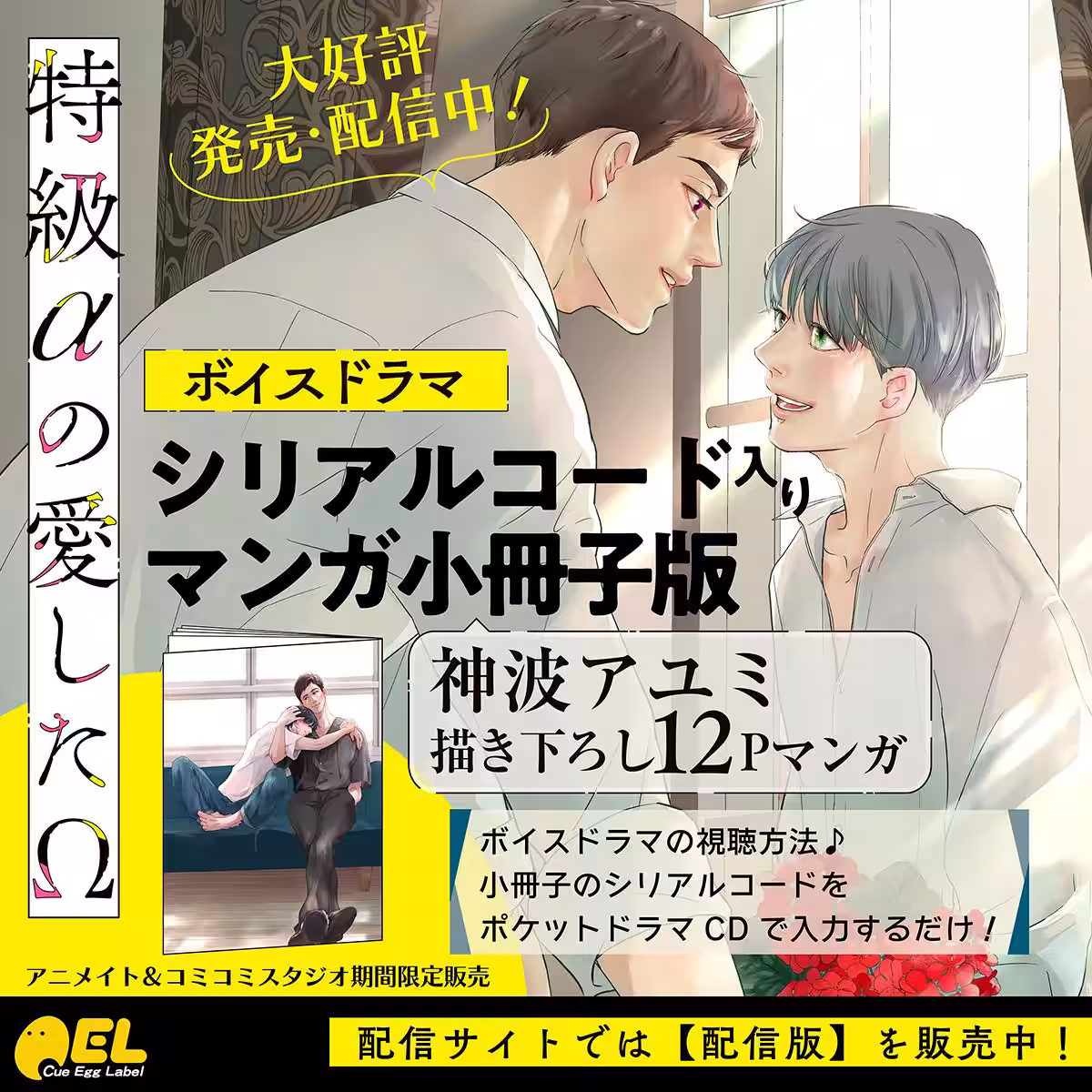 画像12