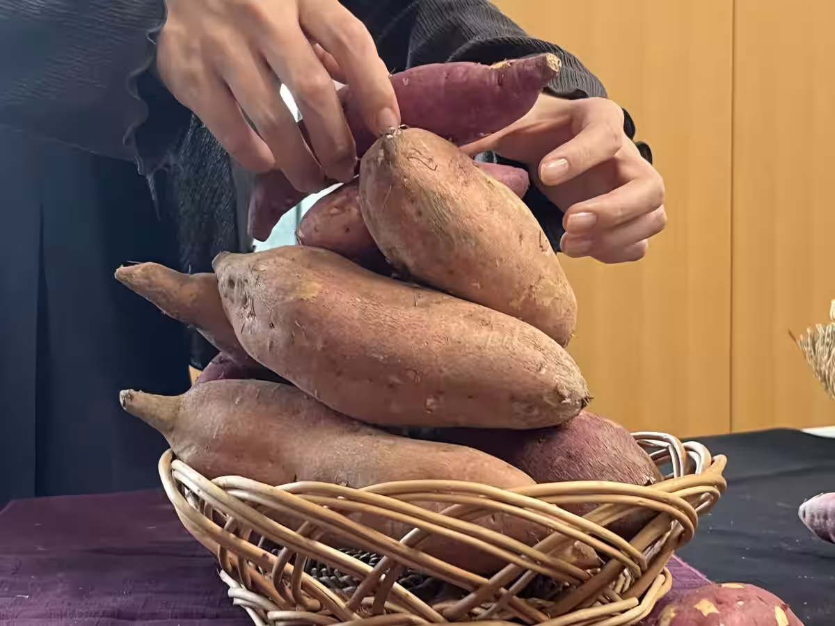 画像11