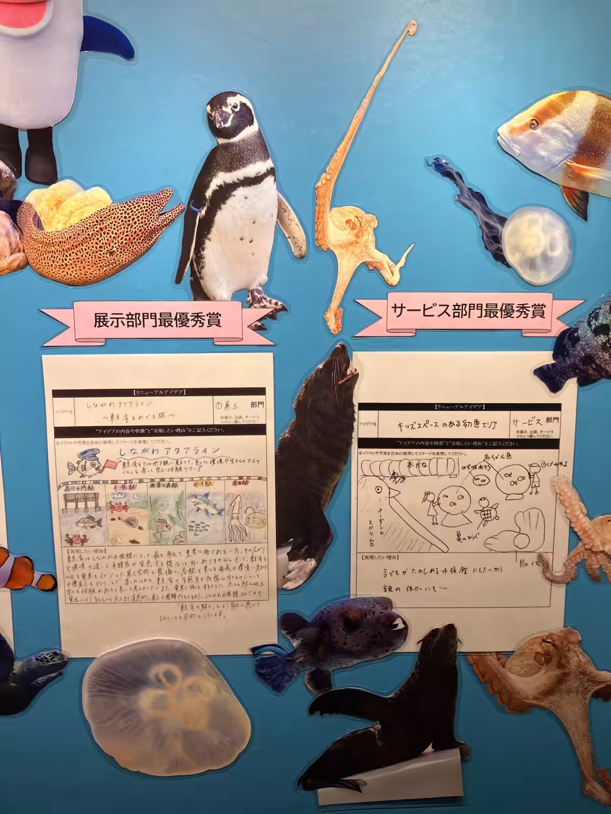 画像9