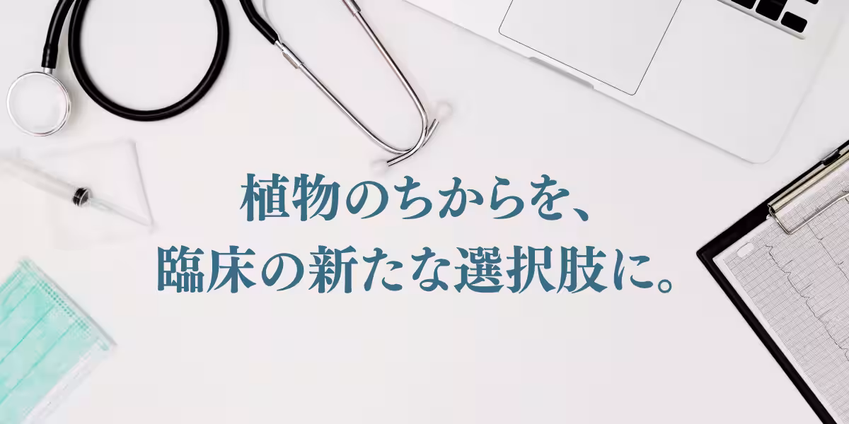 画像11