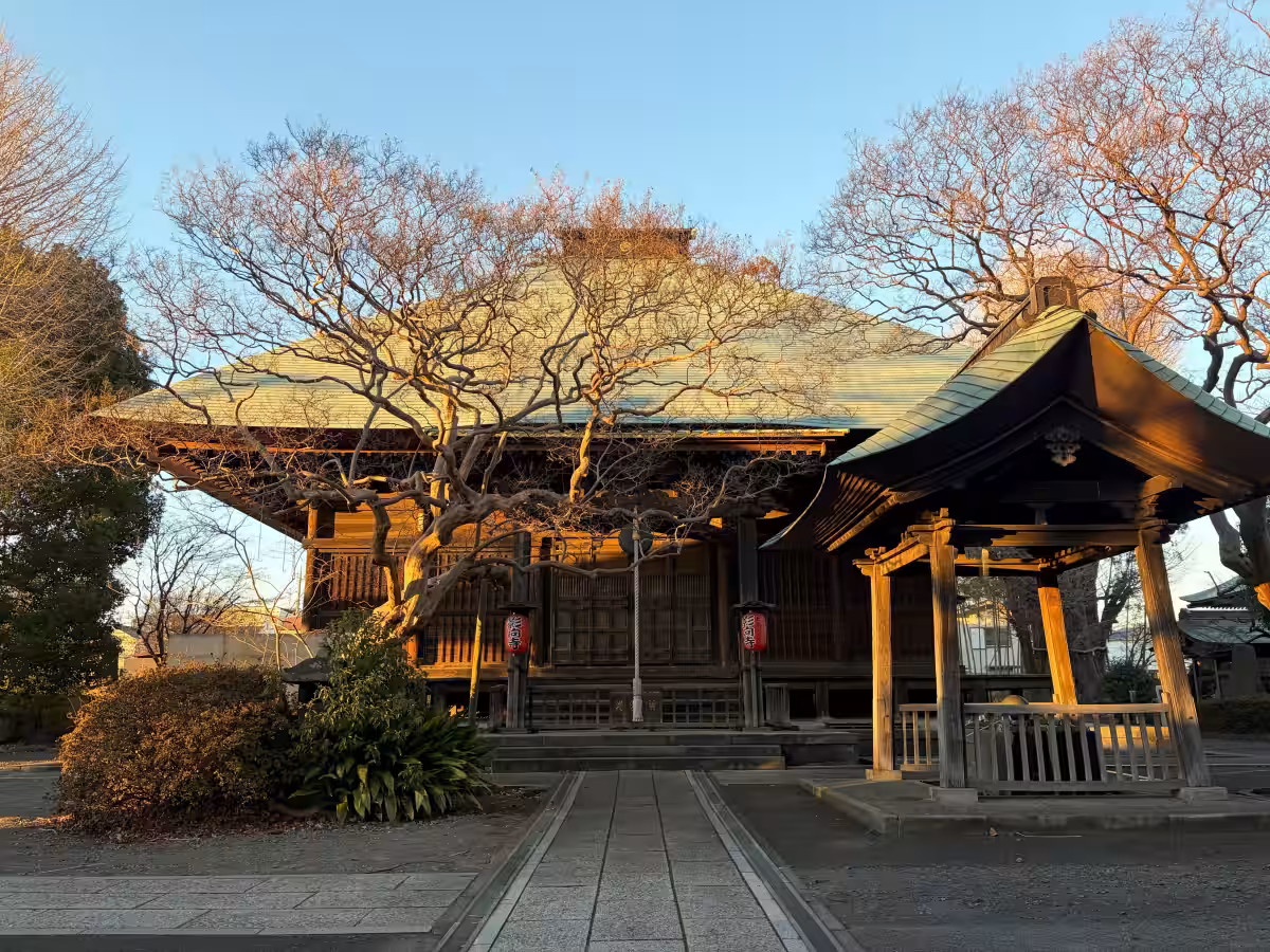 画像4