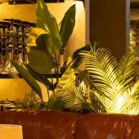 横浜に新シーシャラウンジ