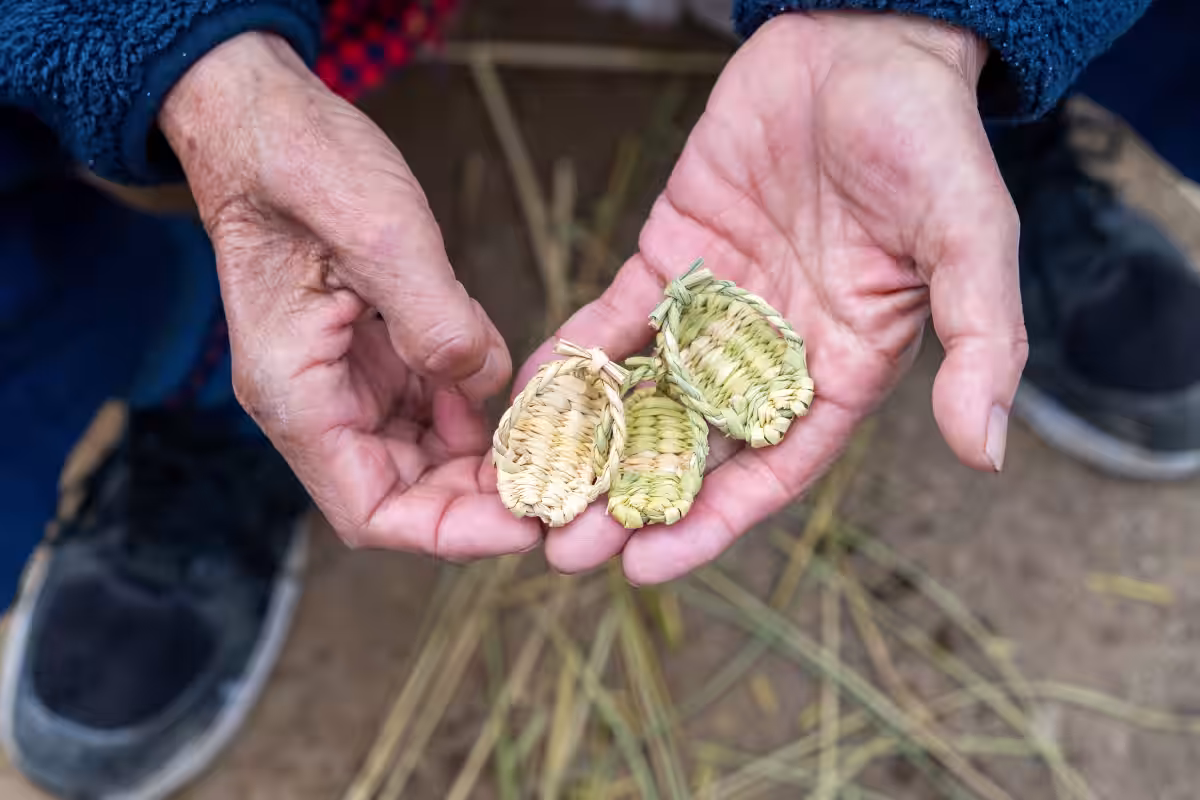 画像7
