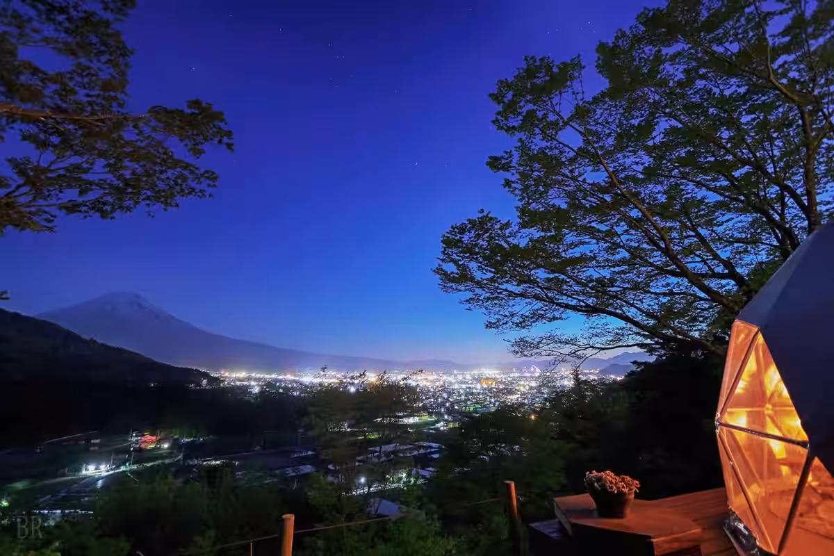 画像8