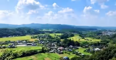 画像12