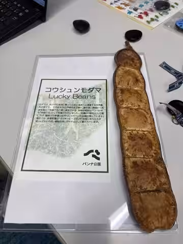 画像7