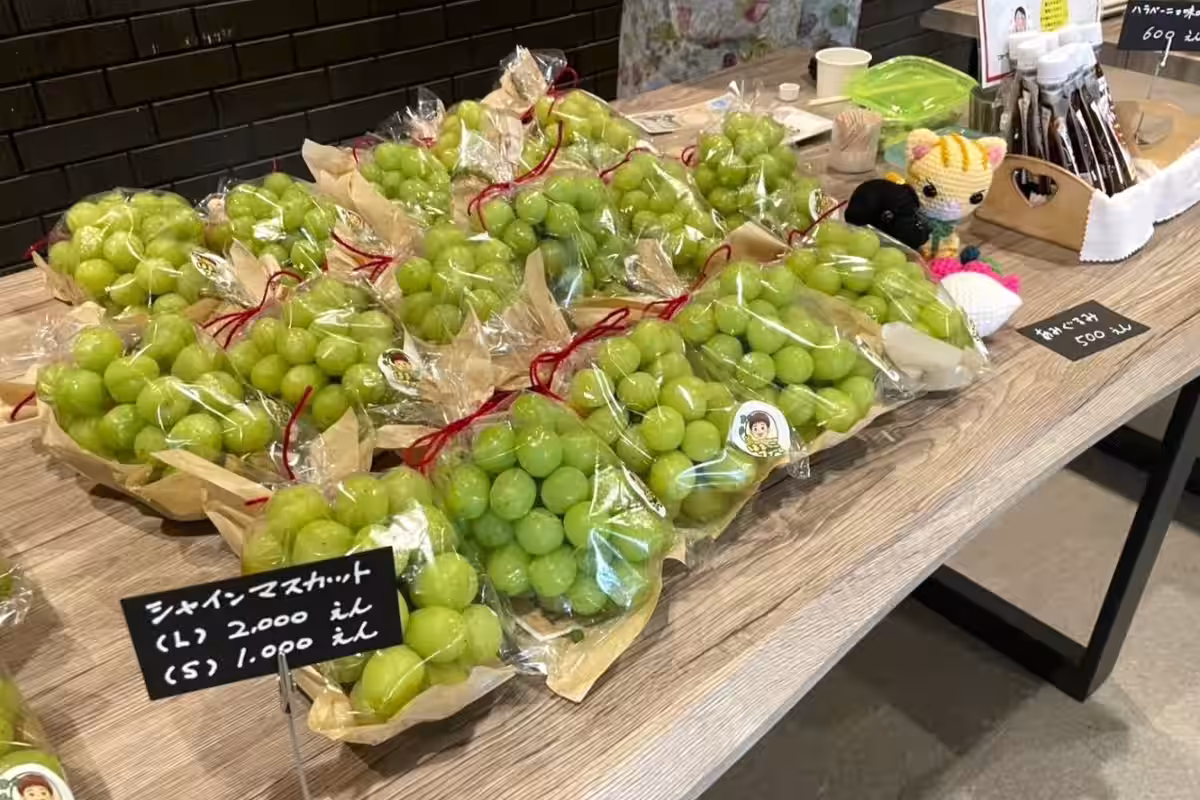 画像9