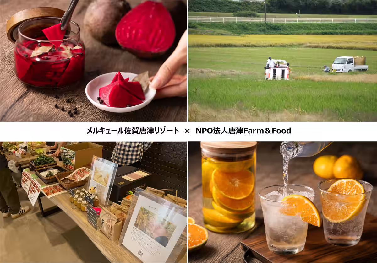 画像13
