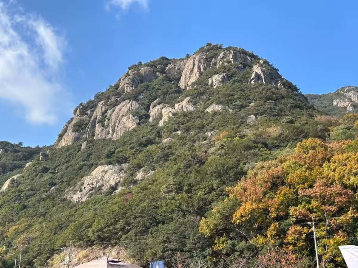 画像15