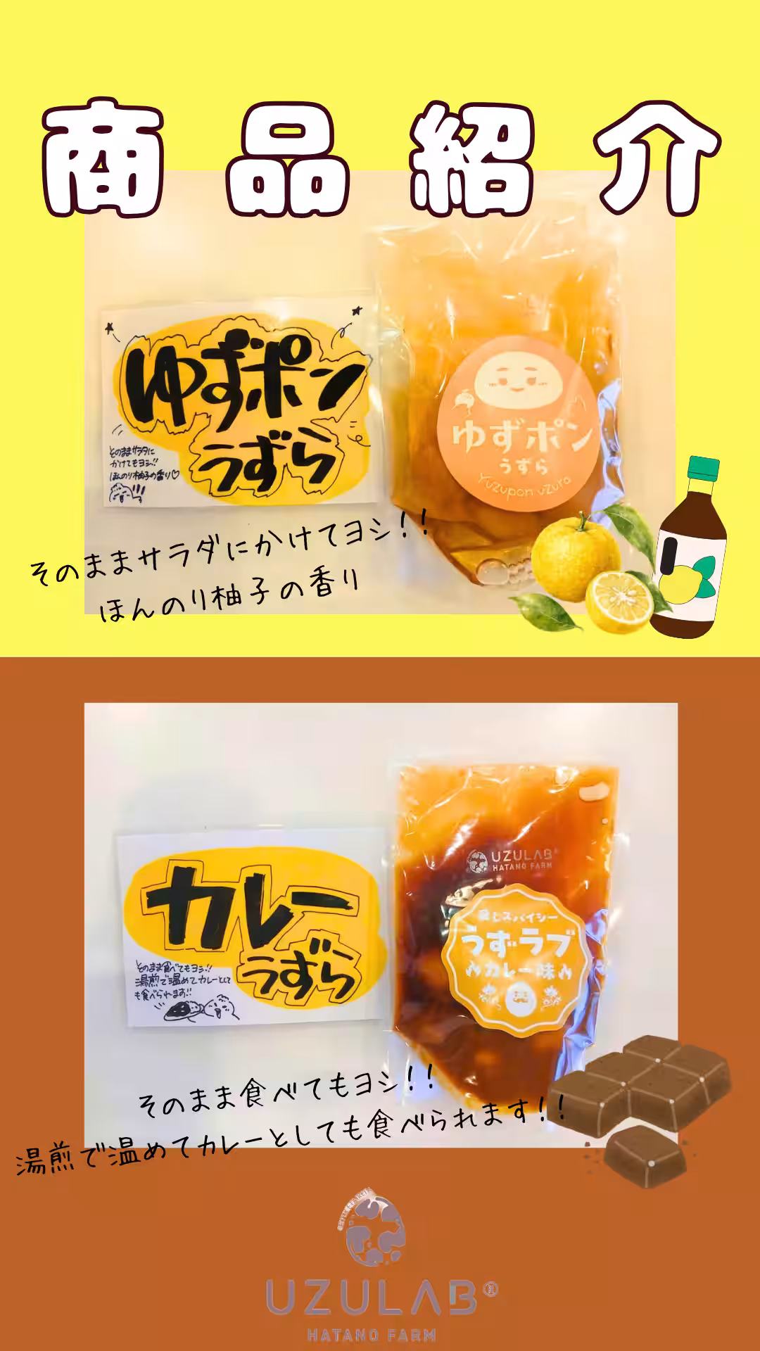 画像19