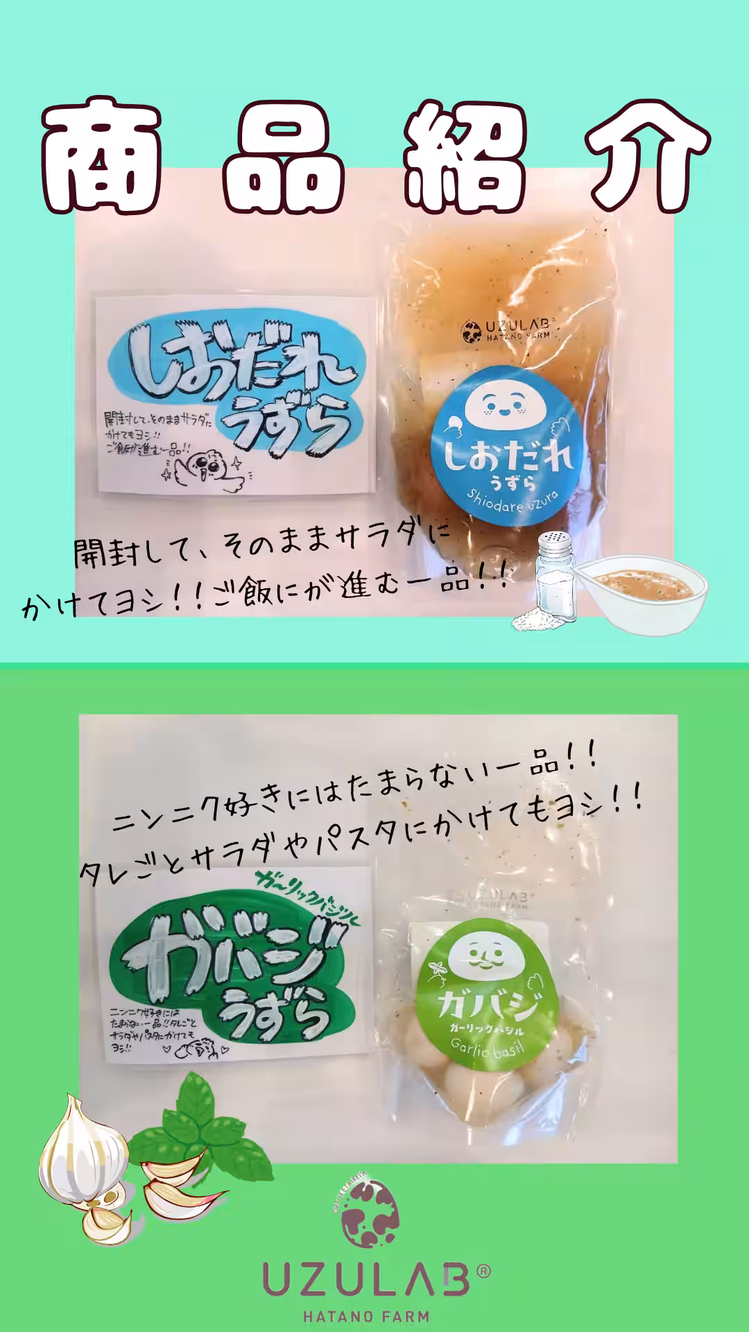 画像14