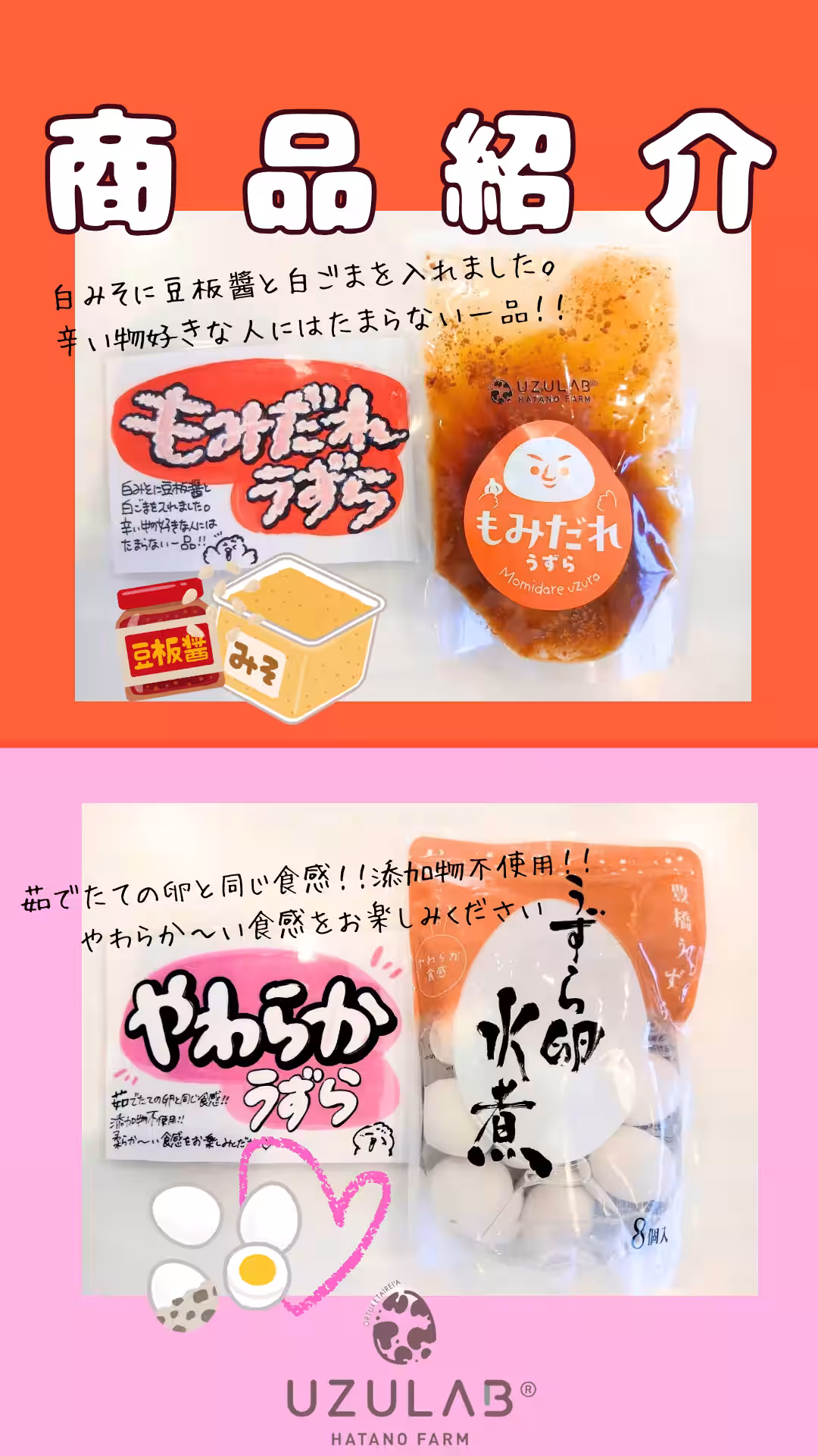 画像18