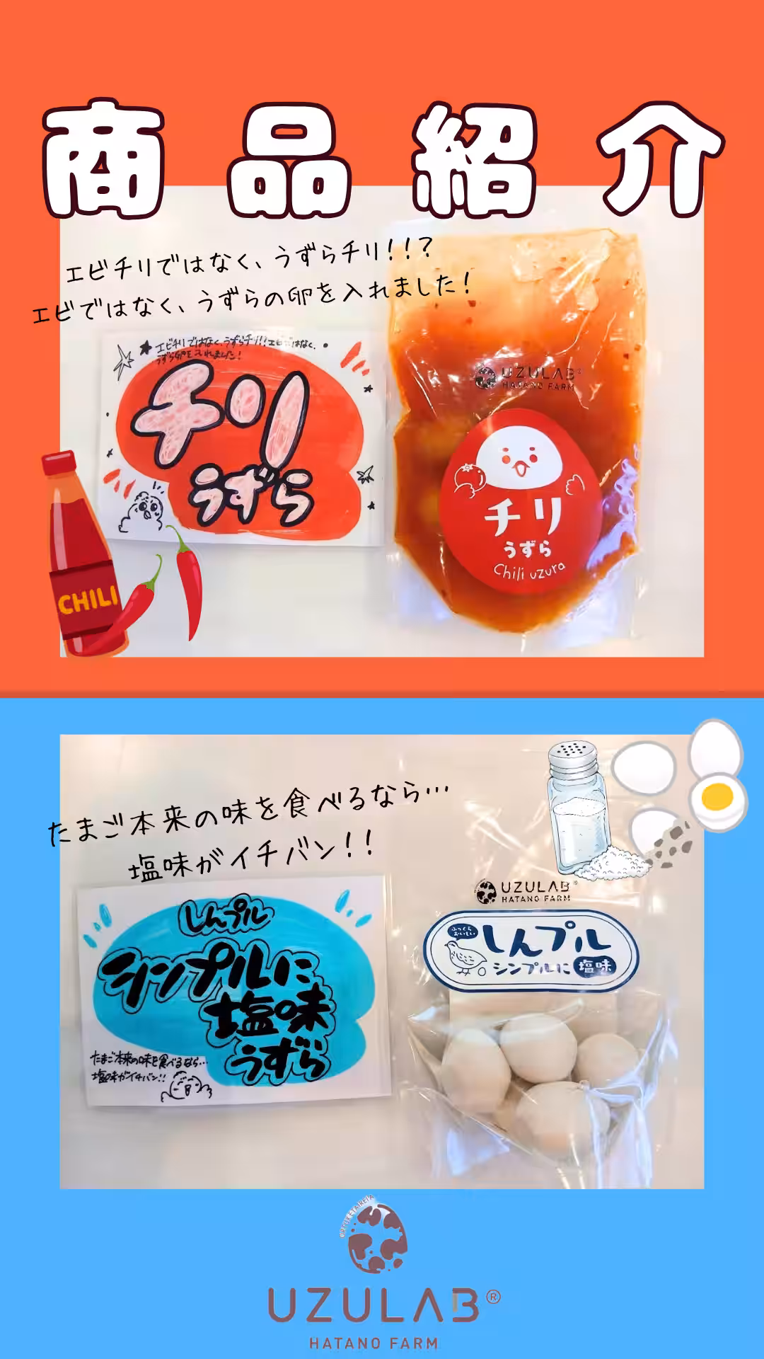 画像15