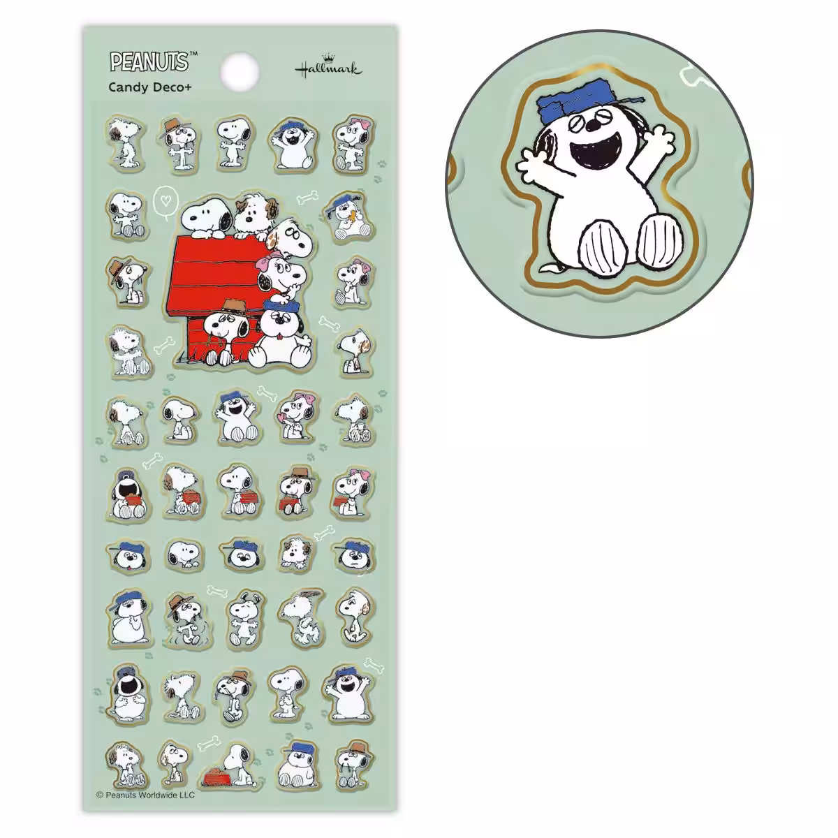 画像17