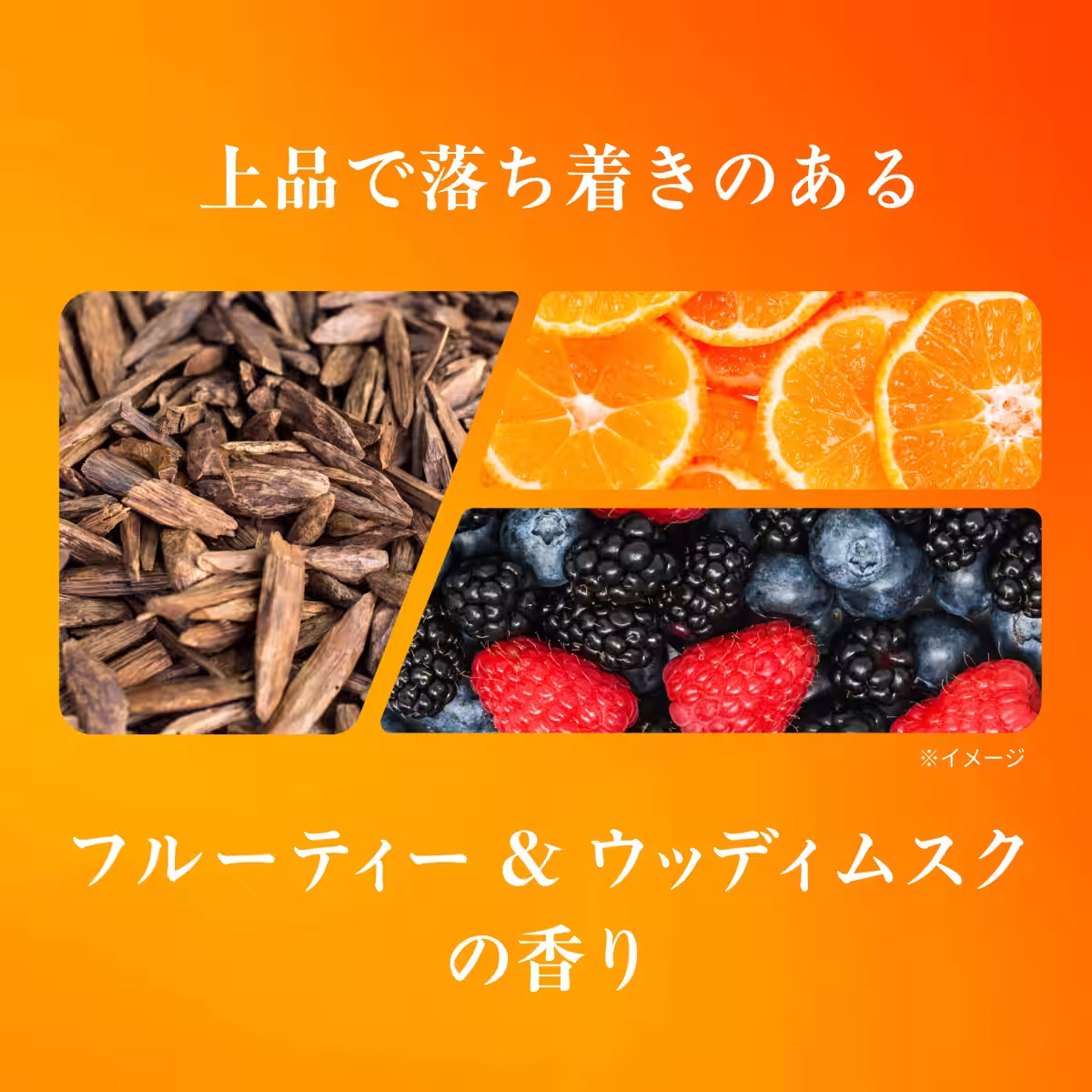 画像11
