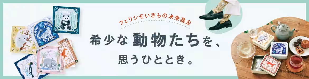 画像12