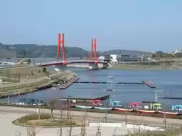 画像6