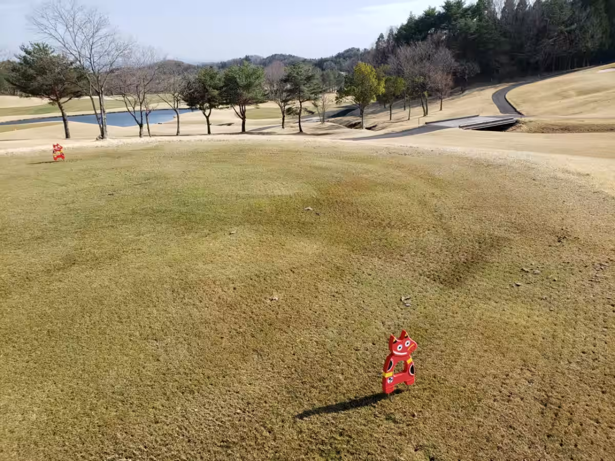 画像11