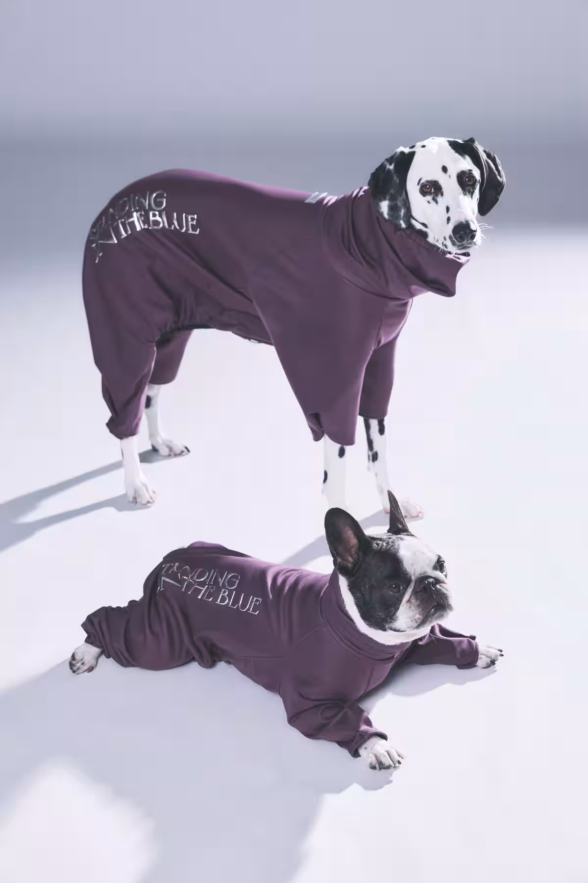 画像14