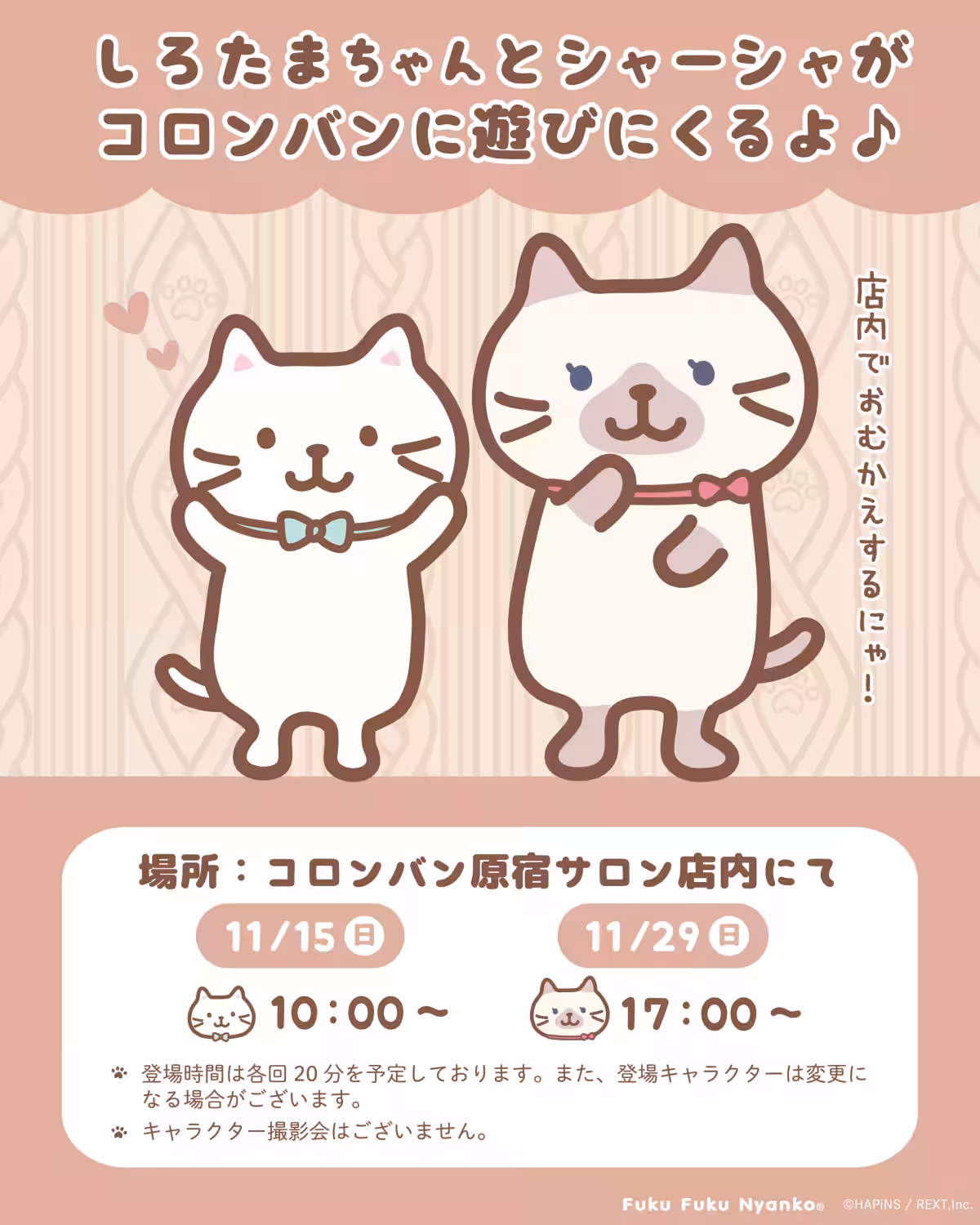 画像12
