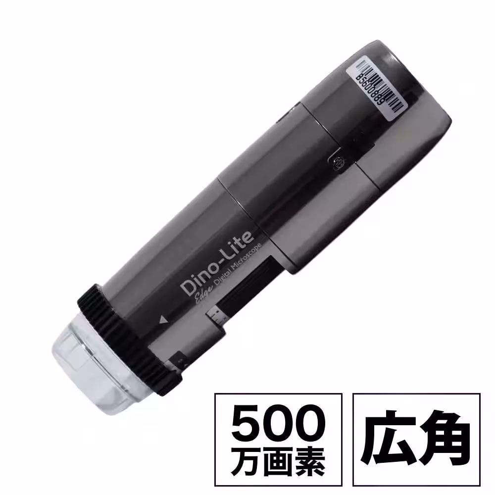 画像9