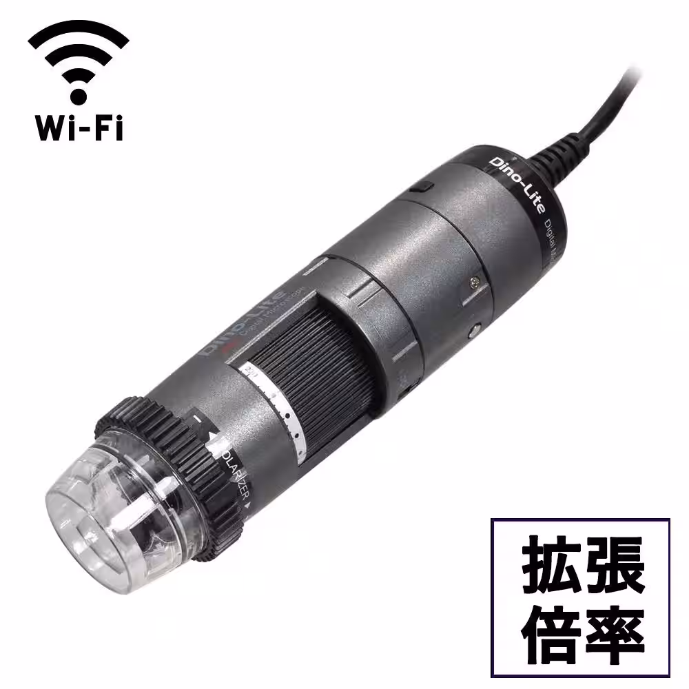 画像11