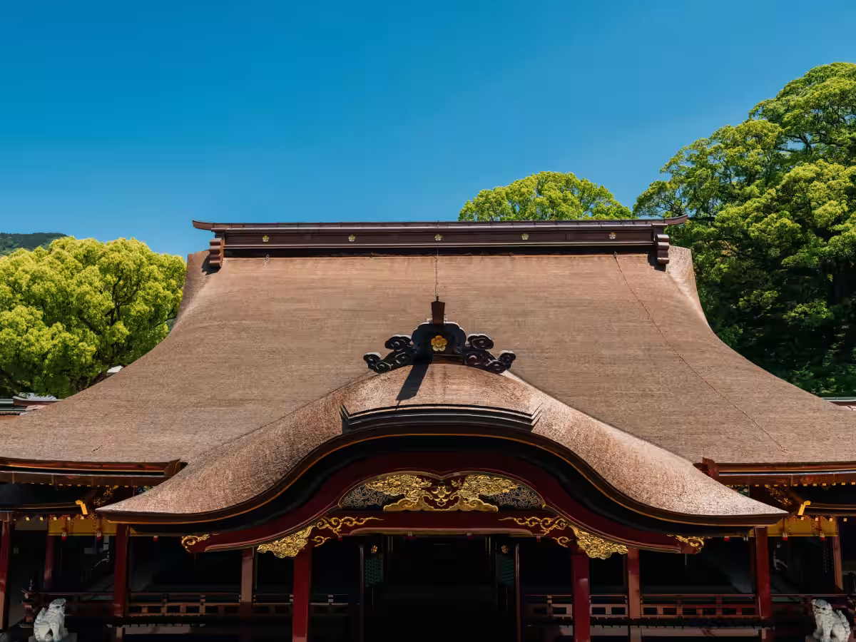 画像8