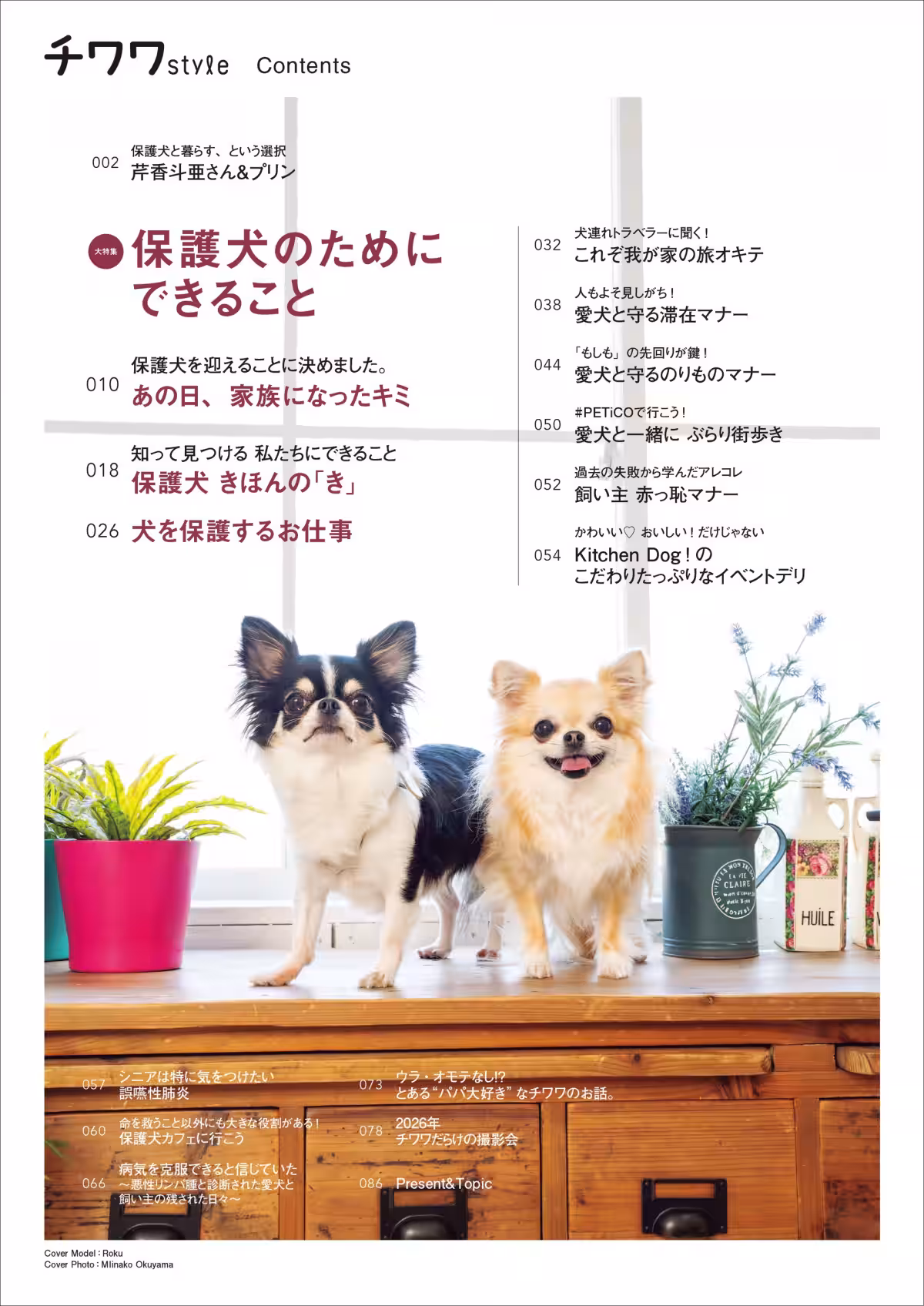 画像6