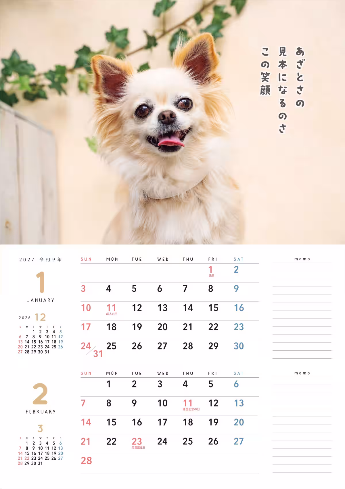 画像8