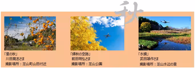 画像7