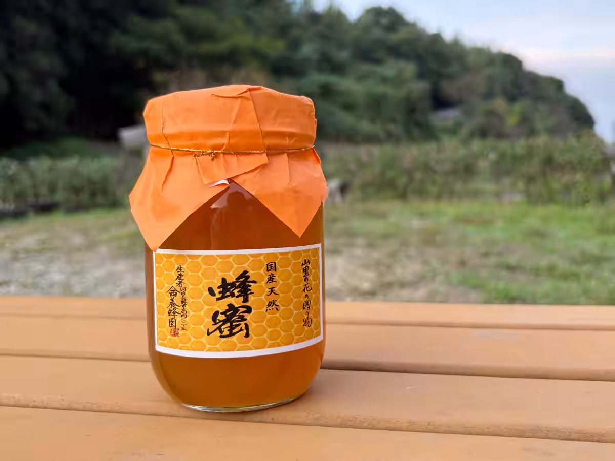 画像4