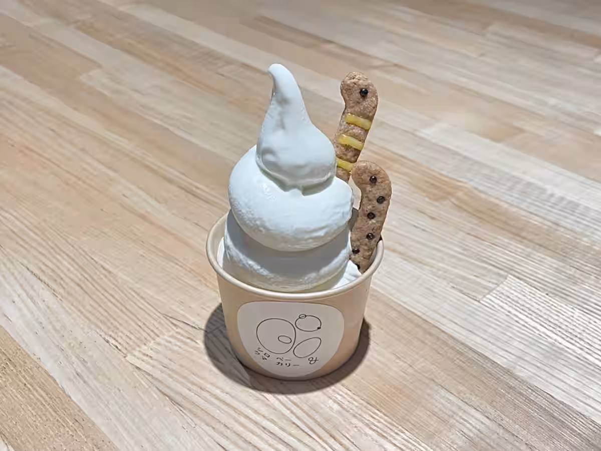 画像8