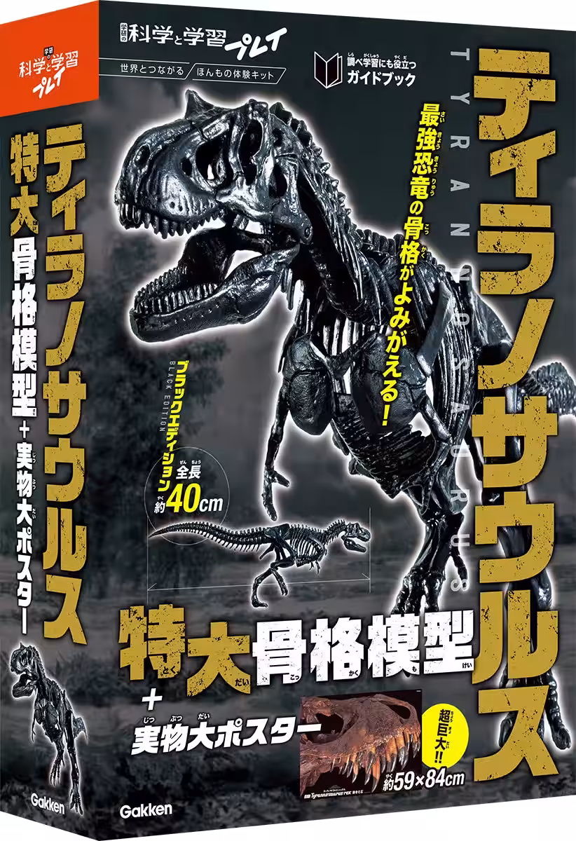 画像15