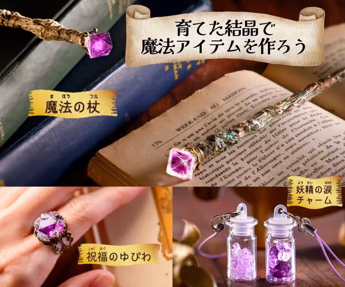 画像12