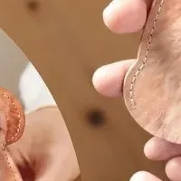 愛犬垂れ耳モデル登場