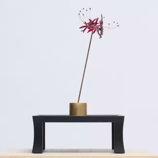 画像15
